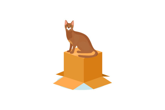Cat Box Illustrations Vector Cute Simple Graphics