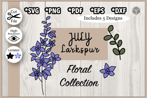 July Larkspur Flower Illustrations & Graphics Review