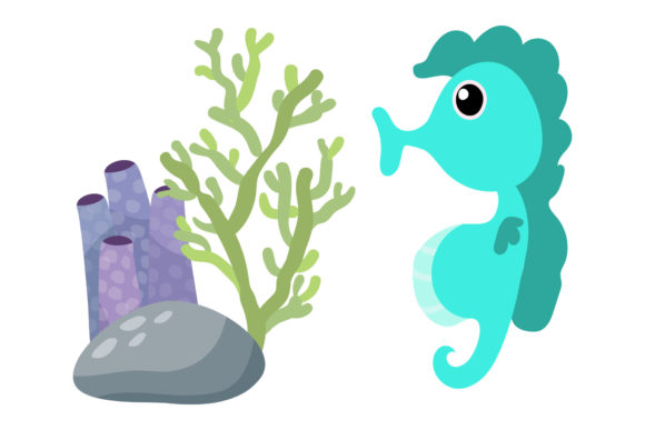 Sea Animals Illustrations: Vector Graphics for Branding