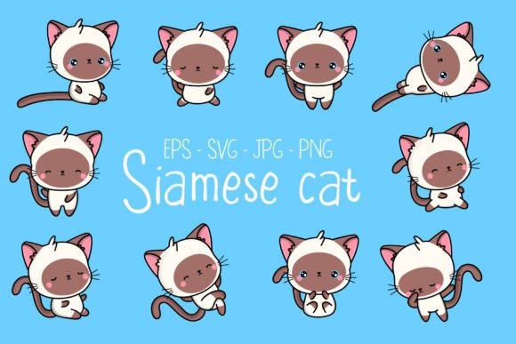 Siamese Cat Cute Kawaii Illustrations: Graphics Review